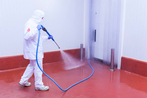 Best Building Exterior Pressure Washing in Vadnais Heights, MN