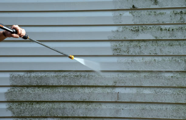 Best Fence Cleaning and Maintenance in Vadnais Heights, MN